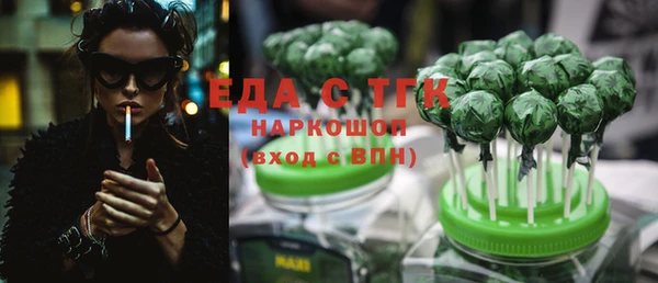 spice Каменка