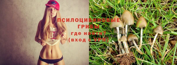 спиды Каменск-Шахтинский