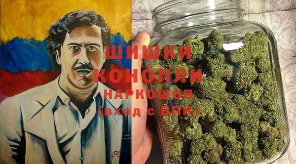 ECSTASY Инта