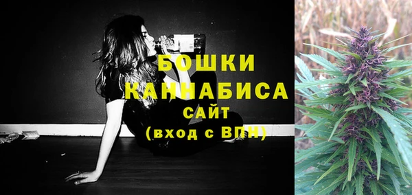 spice Каменка