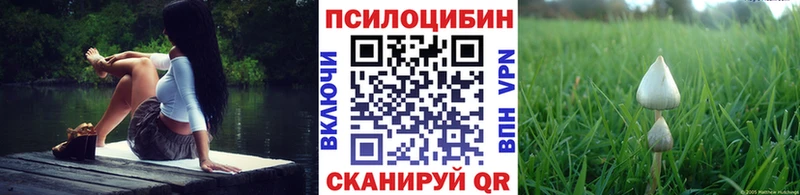 Галлюциногенные грибы ЛСД  Купить закладки  Бор 